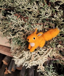 Eichhörnchen gelb